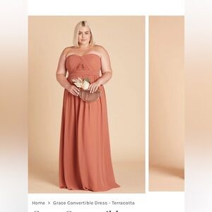 Birdy Grey: Chiffon Terracotta Convertible Dress